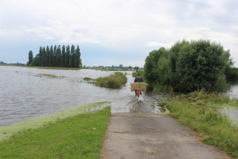 Jan op de fiets met een baal hooi.