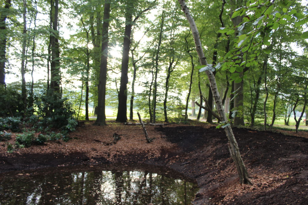Uitgebaggerde poel/vijver op het 'eilandje' voor de boerderij aan de Diepenveenseweg.
