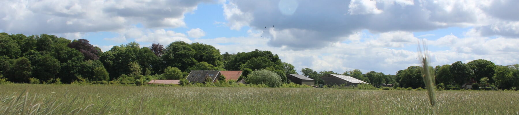 Natuurlijk Biologisch Boeren Beheer Menkveld